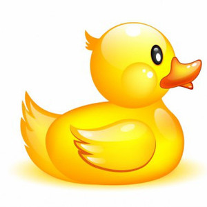 Fundraising Page: Team Karen